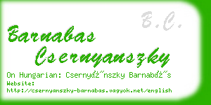 barnabas csernyanszky business card